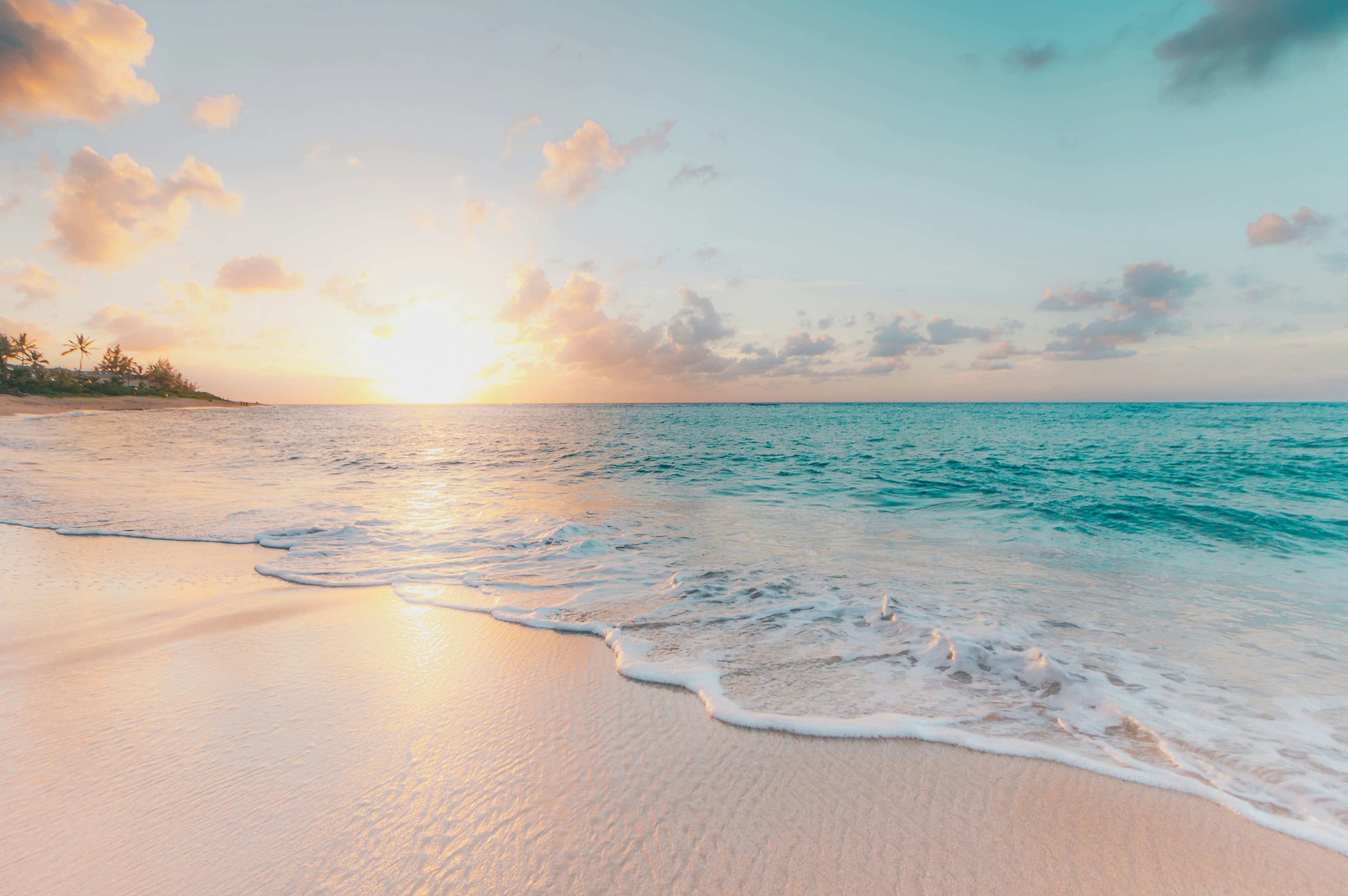 Wills, Powers of Attorney, Deceased Estates & Litigation image